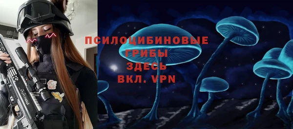 винт Осинники