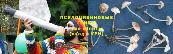 винт Осинники