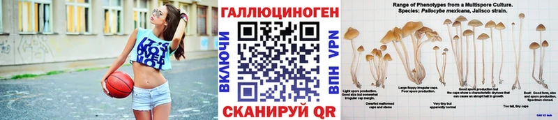 Купить закладки  Малоархангельск  Галлюциногенные грибы мицелий 